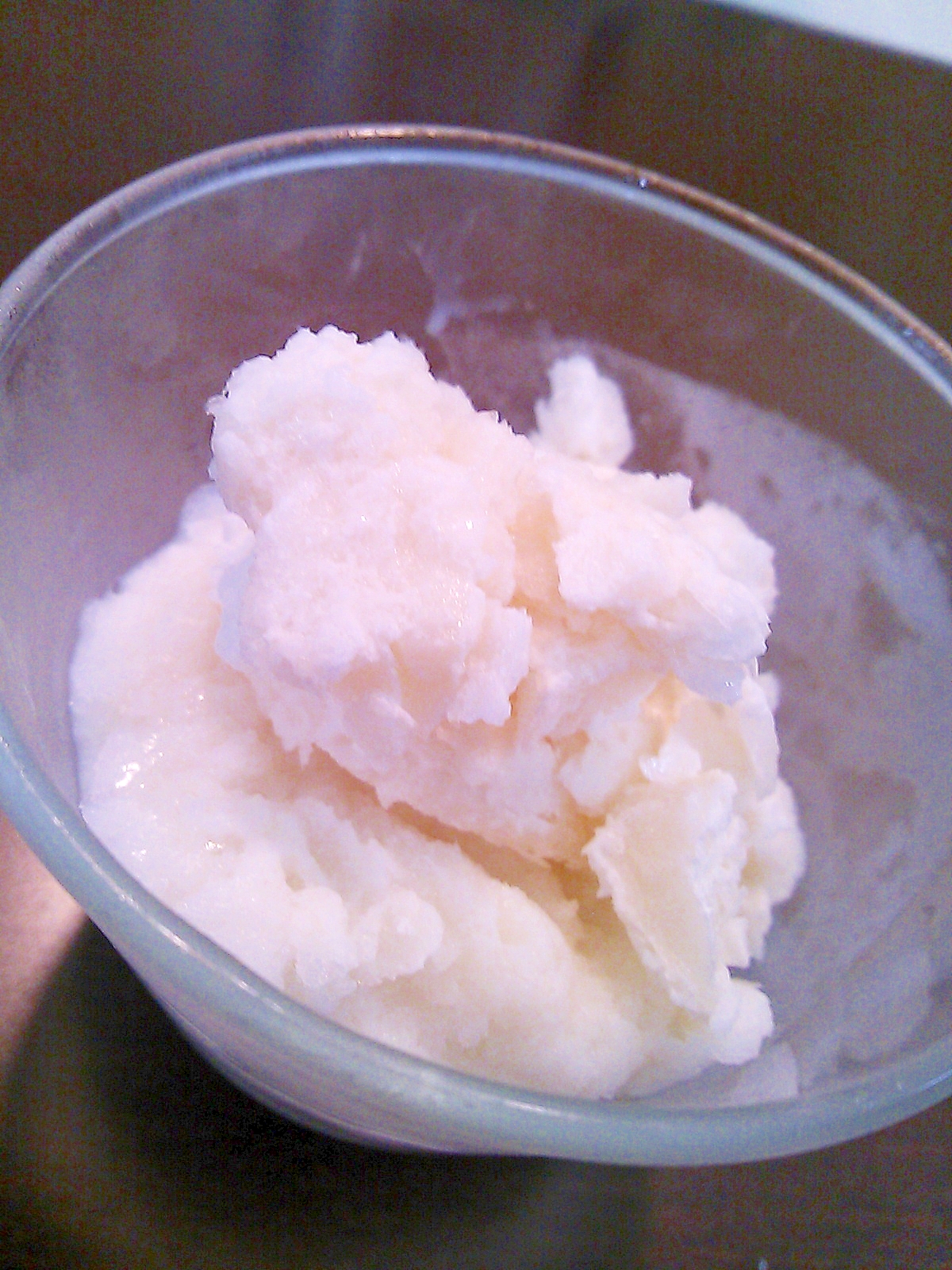 【糖質制限】ココナッツミルクアイス