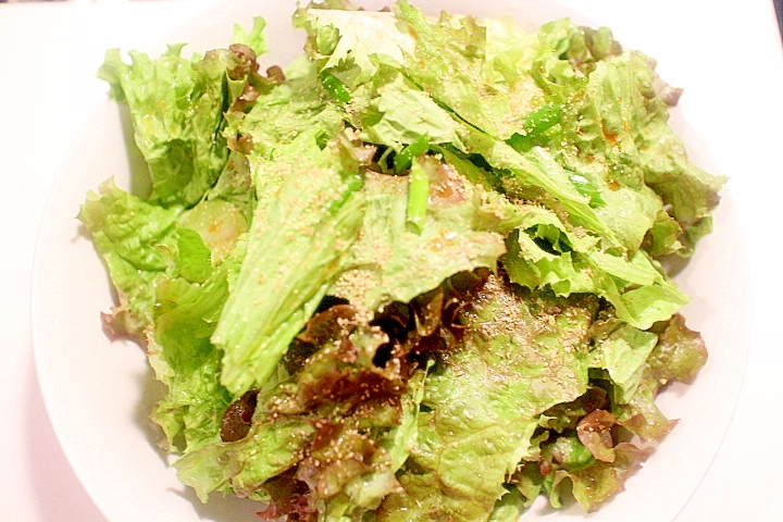 サニーレタスの消費に 沢山食べられるチョレギサラダ レシピ 作り方 By Seika A 楽天レシピ サニーレタスの消費に 沢山食べられるチョレギサラダ レシピ 作り方 By Seika A 楽天レシピ