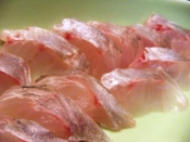 黒そいの刺身 レシピ 作り方 By 寝虎太郎 楽天レシピ 黒そいの刺身 レシピ 作り方 By 寝虎太郎 楽天レシピ