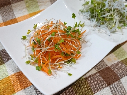 栄養満点♡健康サラダ♡にんじんとスプラウトのサラダ