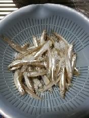 ワカサギの甘露煮 レシピ 作り方 By 緒花 楽天レシピ ワカサギの甘露煮 レシピ 作り方 By 緒花 楽天レシピ