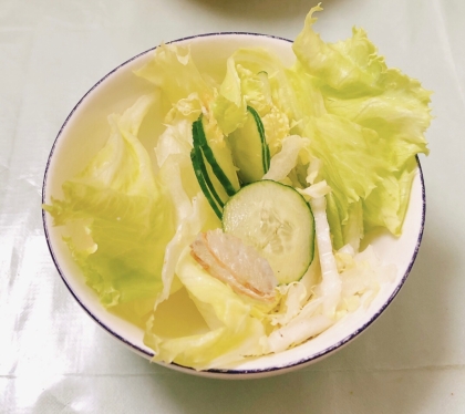 さつま揚げ入り野菜サラダ