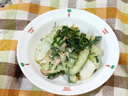 お疲れさま〜生野菜毎日食べるんだけど市販のドレッシングなんだぁ〜マヨポン美味しかったぁ(⁎˃ᴗ˂⁎)
みょうが無くて大葉沢山入れたよん美味39♡