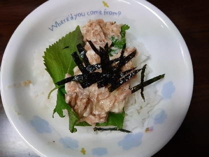 こんにちは。大葉がとれるようになり毎日食べてます(^-^)ツナマヨ大葉ご飯、美味しい組合せでした。レシピ有難うございました。