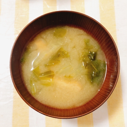 白菜・もやし・油揚げの味噌汁