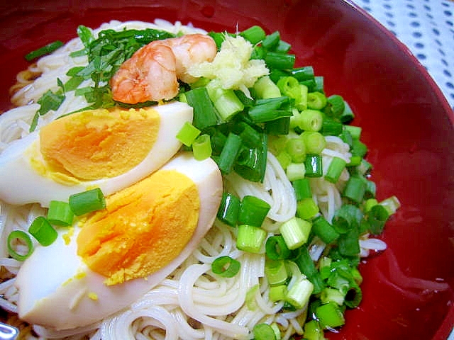 暑ーい夏に！冷やしぶっかけそうめん