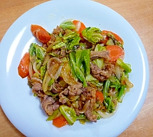 牛肉とキャベツのオイスター炒め