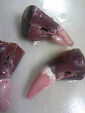 かつお の へそ へ そ ですか レシピ 作り方 By 母04 楽天レシピ かつお の へそ へ そ ですか レシピ 作り方 By 母04 楽天レシピ