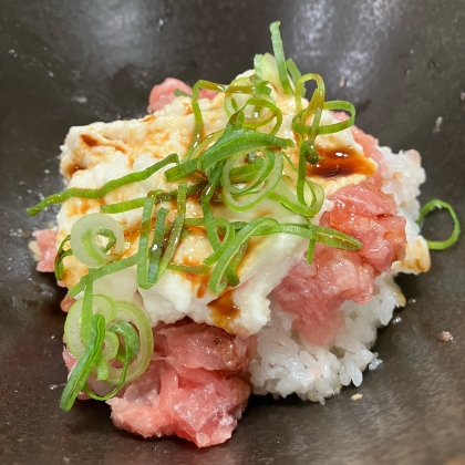 山かけネギトロ丼