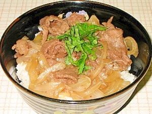 飛騨牛を使って、元祖牛丼