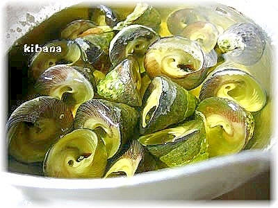 しったか貝の塩煮 レシピ 作り方 By きばな 楽天レシピ しったか貝の塩煮 レシピ 作り方 By きばな 楽天レシピ