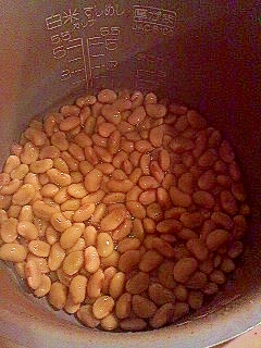 秘伝豆（青大豆）の水煮