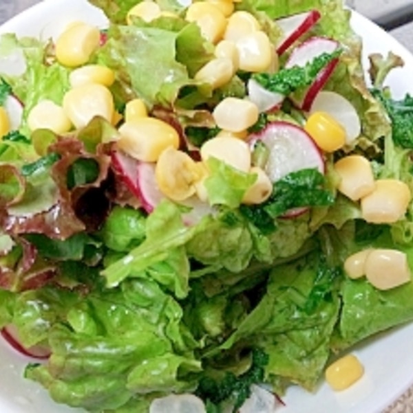 ラディッシュの葉っぱも食べよう 生野菜サラダ レシピ 作り方 By Fly To The Sky0985 楽天レシピ ラディッシュの葉っぱも食べよう 生野菜サラダ レシピ 作り方 By Fly To The Sky0985 楽天レシピ