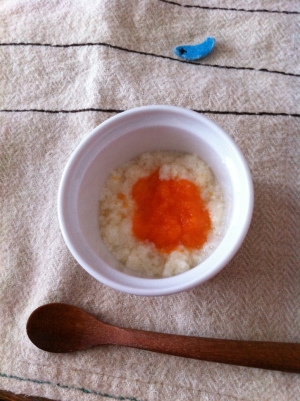 擦らなくても大丈夫 初期離乳食高野豆腐 レシピ 作り方 By Jarinko1124 楽天レシピ 擦らなくても大丈夫 初期離乳食高野豆腐 レシピ 作り方 By Jarinko1124 楽天レシピ