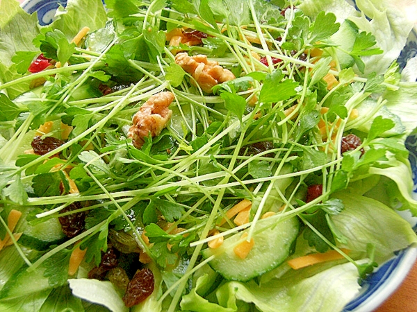セロリの芽でサラダ