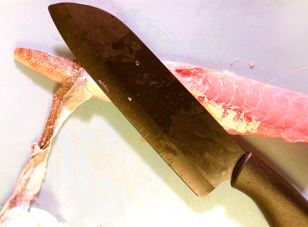 ムチっ ぷりっぷり マゴチ コチ のお刺身 レシピ 作り方 By M H 楽天レシピ ムチっ ぷりっぷり マゴチ コチ のお刺身 レシピ 作り方 By M H 楽天レシピ