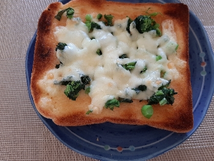 ほうれん草がなかったのでからし菜をトッピングしてみました。
美味しかったです！