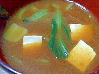 チンゲン菜と豆腐の赤味噌汁