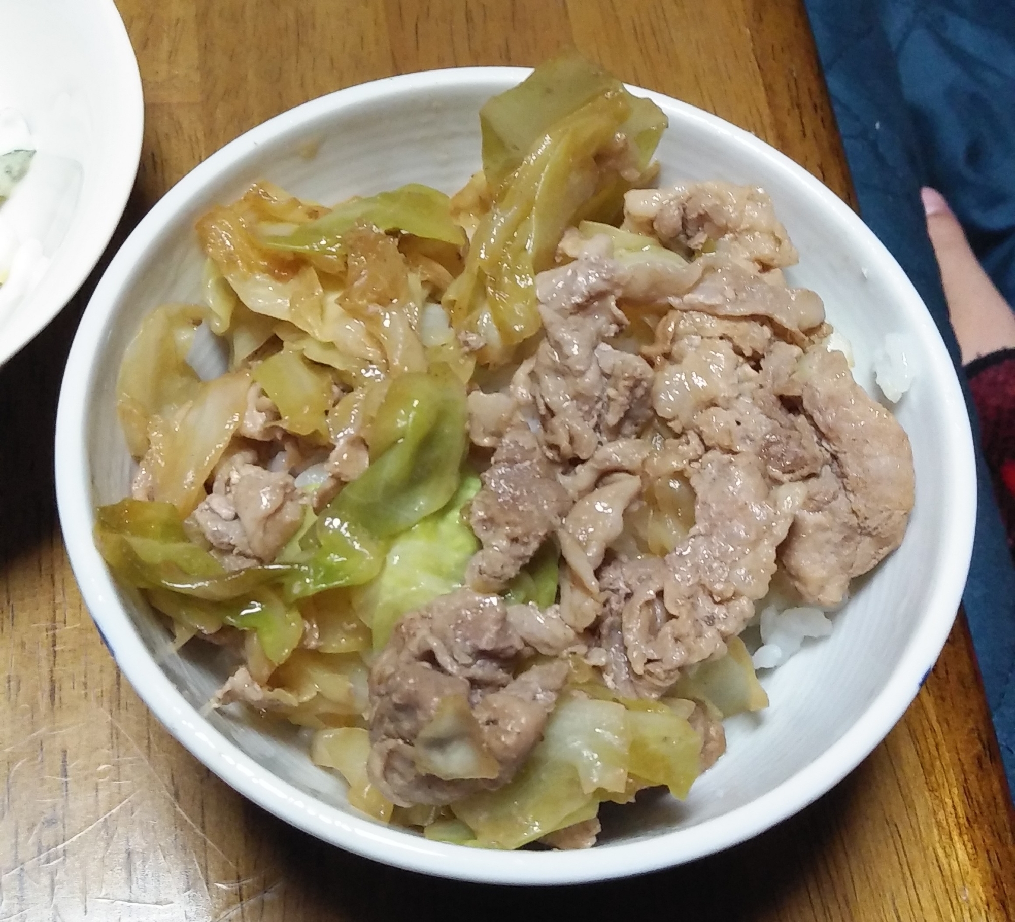 キャベ豚カレー丼