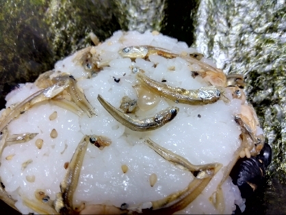 しらすネギご飯