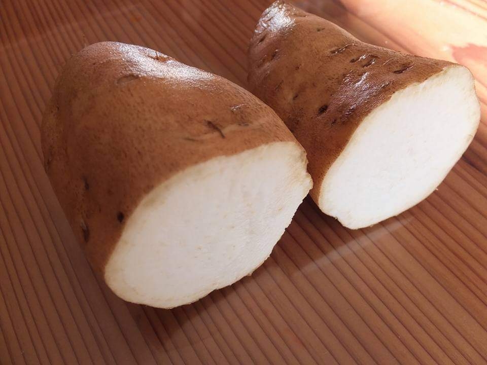 白いさつまいも 黄金千貫の豆乳スイートポテト レシピ 作り方 By またたび 楽天レシピ 白いさつまいも 黄金千貫の豆乳スイートポテト レシピ 作り方 By またたび 楽天レシピ