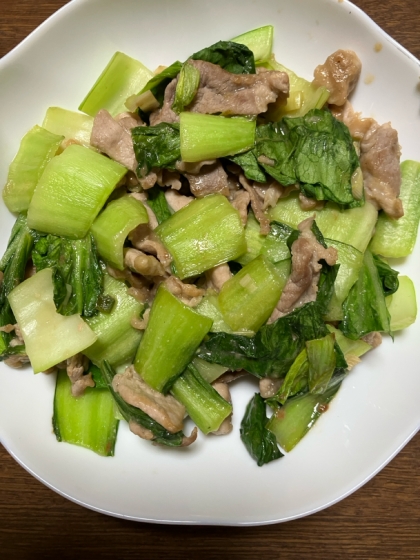 青梗菜と豚肉の簡単オイスター炒め