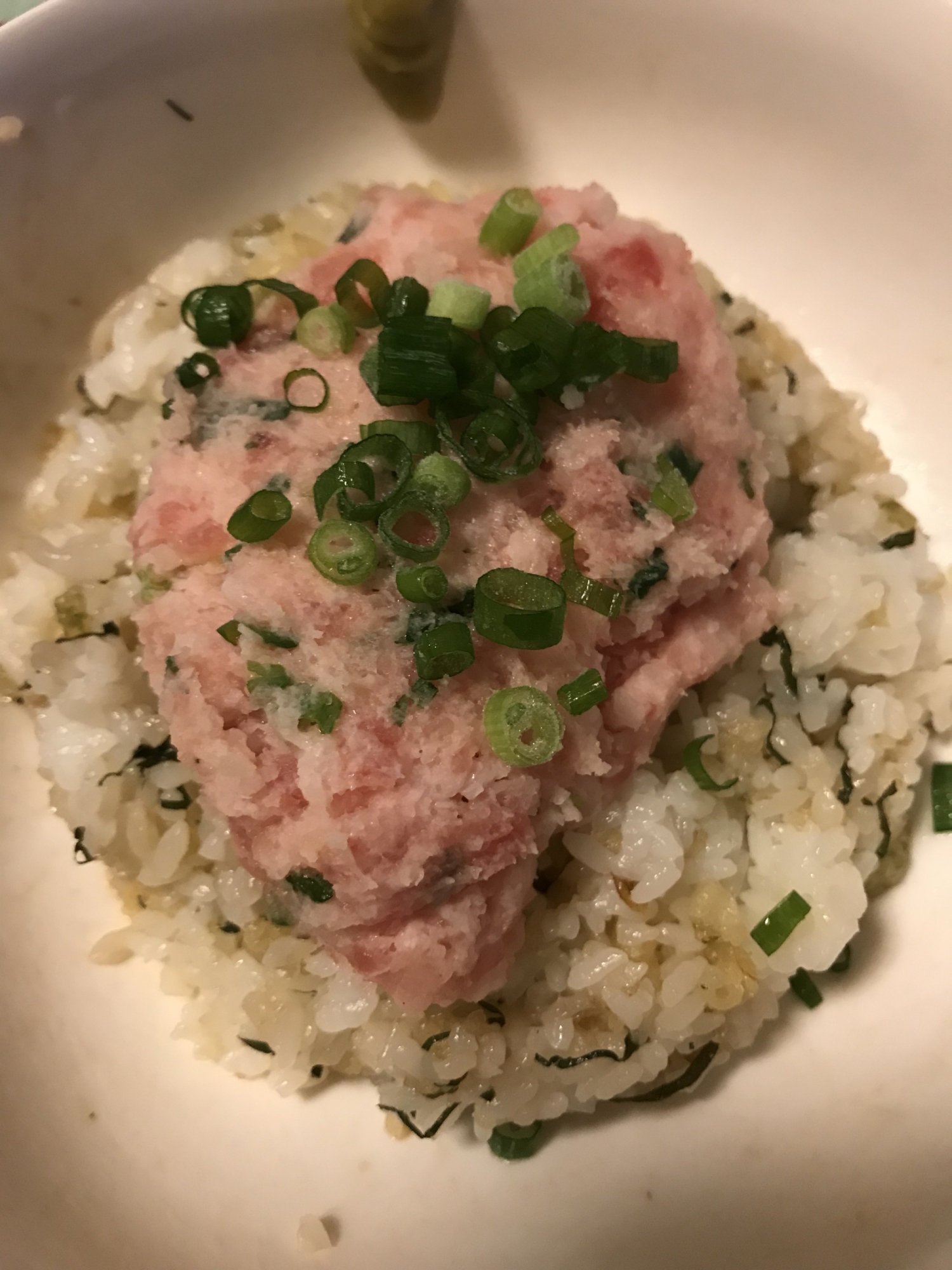 ネギトロ丼~天かす、シソごはん~