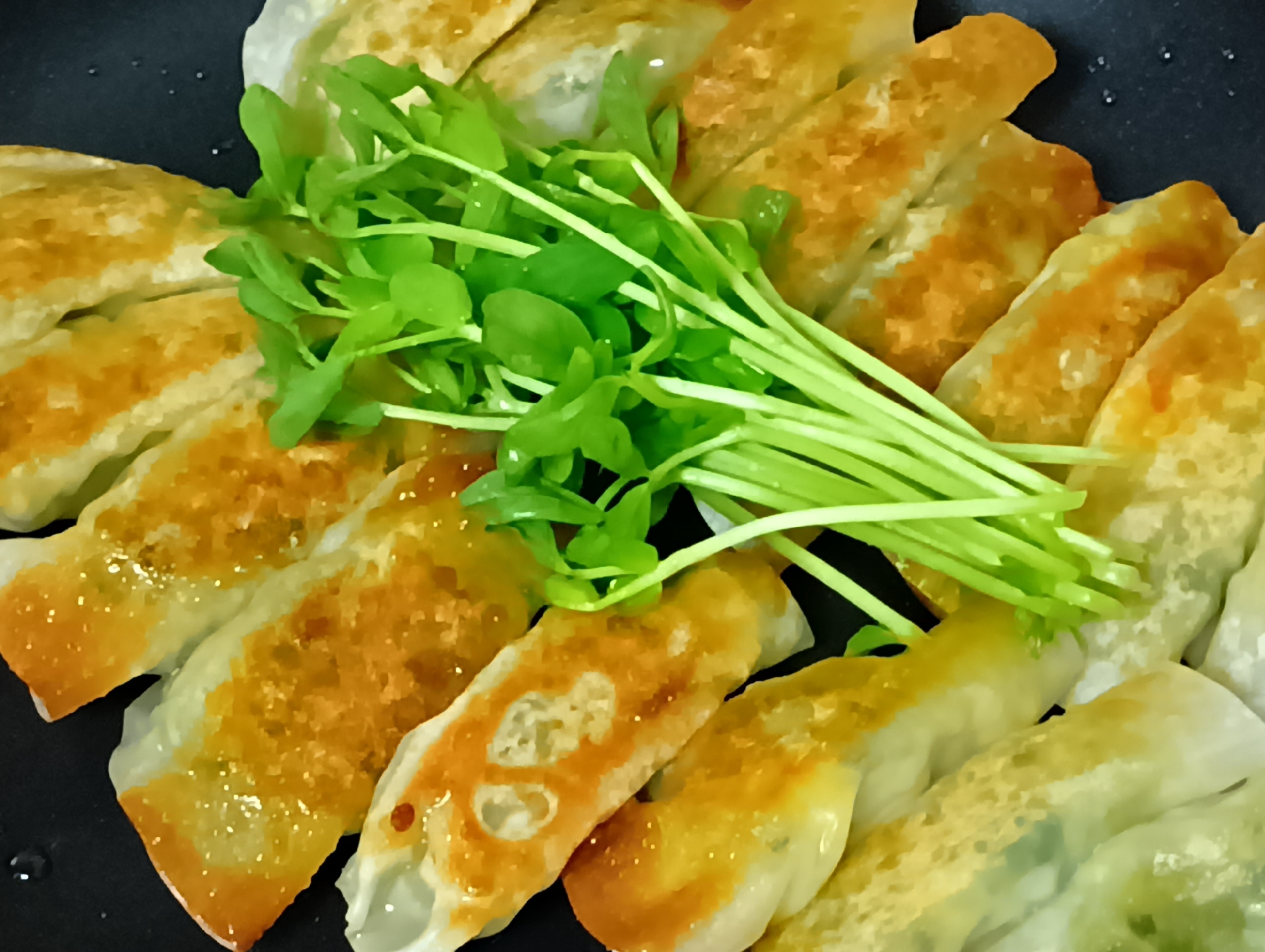 キャベツとわさび菜 de サラダ餃子