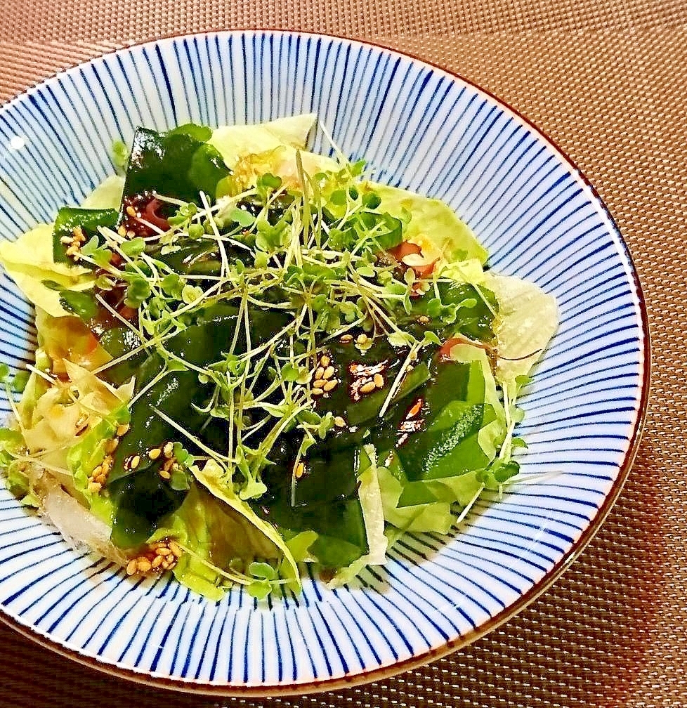 スプラウト海藻サラダ