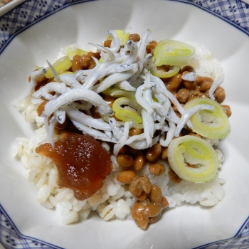 箸休めならぬ、丼に↑左下に梅干し♡カルシウムのサプリは飲まないで、しらすや小松菜対応w牛乳摂取より、何故か歯が白くなるし❤・・❤さらに別納豆にもトライしたいポチ