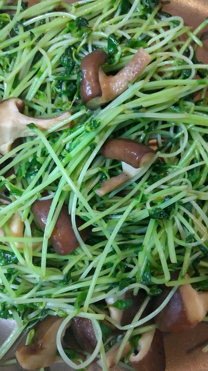 豆苗と椎茸のごま油炒め♡