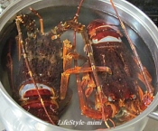 伊勢えびボイル 捌き方詳細写真有 保存版 レシピ 作り方 By Mimi Chin 楽天レシピ