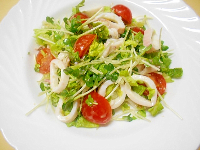 ★茹でやりいかと野菜のサラダ★