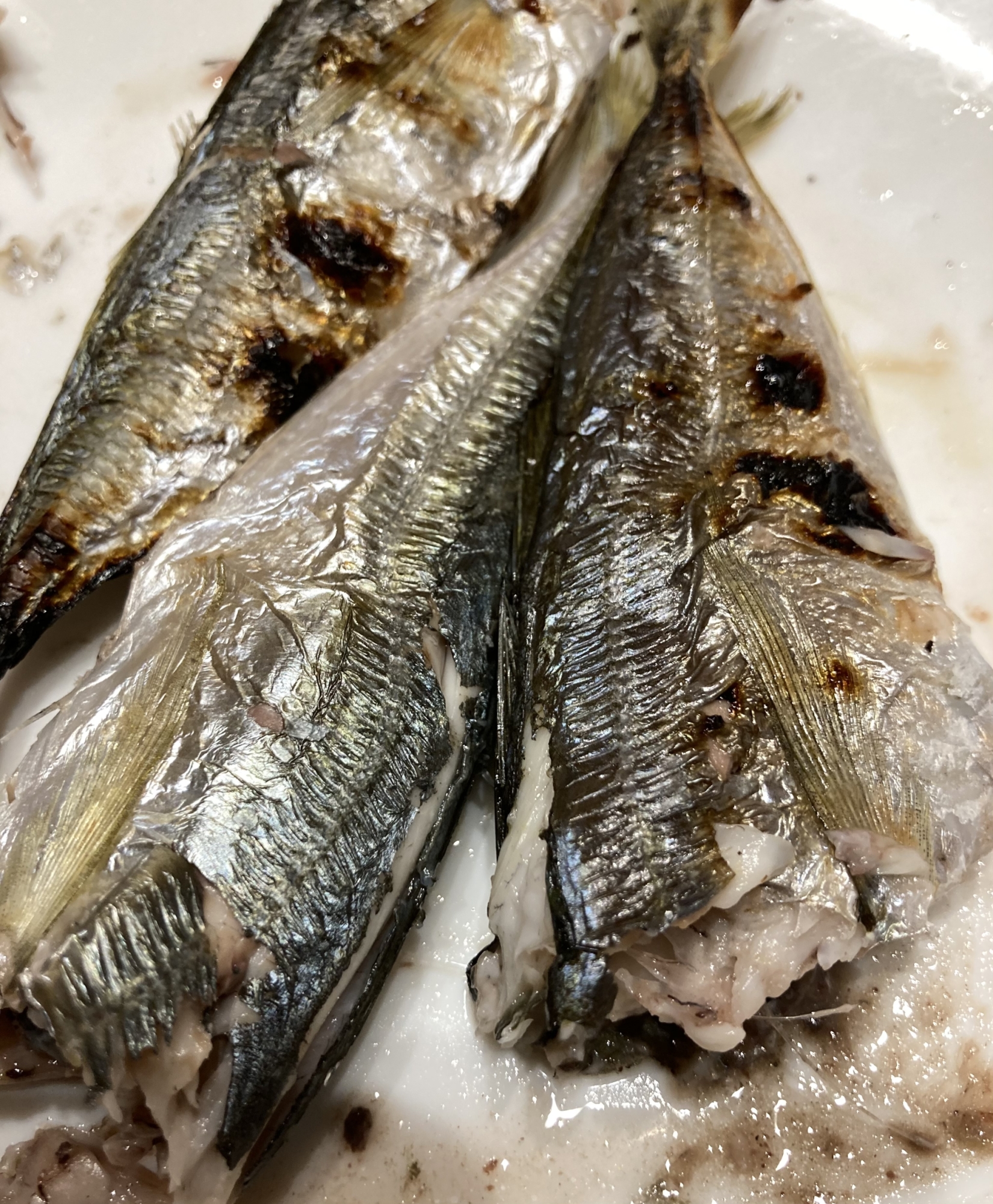 簡単小アジの下処理で塩焼き レシピ 作り方 By へんてこへんてこママ 楽天レシピ 簡単小アジの下処理で塩焼き レシピ 作り方 By へんてこへんてこママ 楽天レシピ