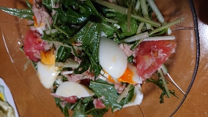 水菜・ゆで卵・トマト・ツナの和風サラダ