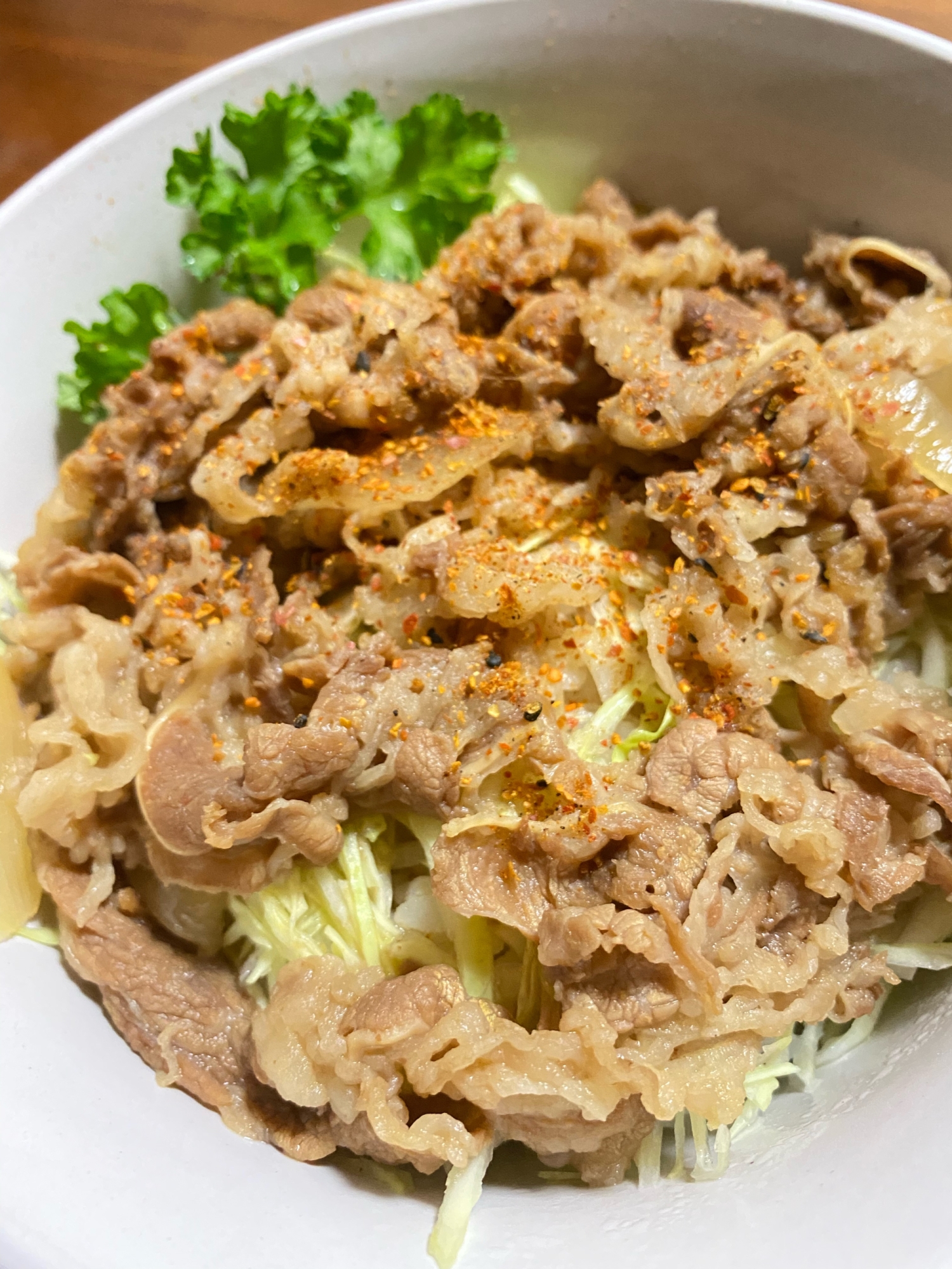 ヘルシーキャベツ牛丼