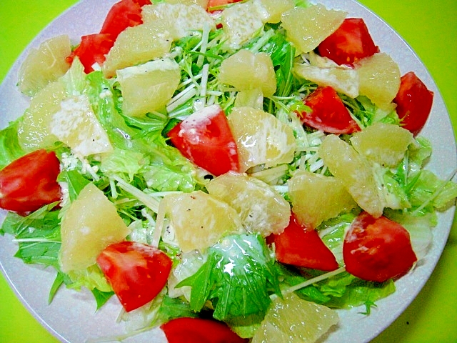 グレープフルーツと水菜レタストマトのサラダ