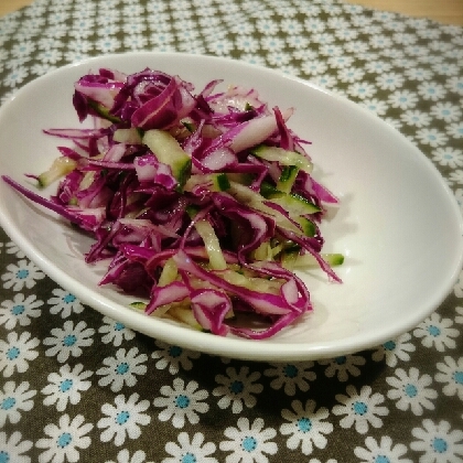 紫キャベツときゅうりのサラダ♪