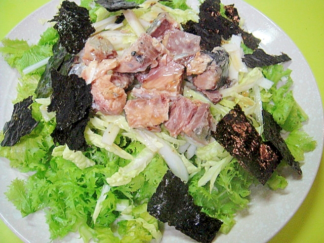 サバ缶と白菜わさび菜味付海苔のサラダ