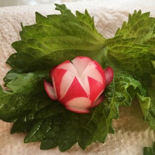 ラディッシュ 花 飾り切り レシピ 作り方 By Yoshi Original 楽天レシピ ラディッシュ 花 飾り切り レシピ 作り方 By Yoshi Original 楽天レシピ