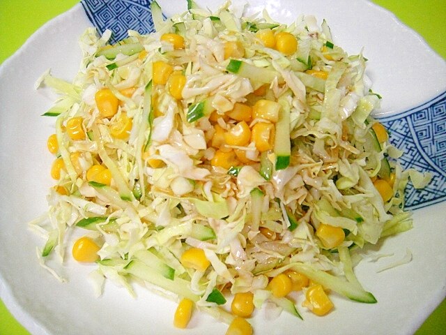 キャベツ きゅうり サラダ