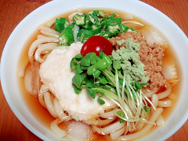 冷やしとろろうどん