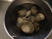レンジで簡単 ホンビノス貝の酒蒸し レシピ 作り方 By Chococco3215 楽天レシピ レンジで簡単 ホンビノス貝の酒蒸し レシピ 作り方 By Chococco3215 楽天レシピ