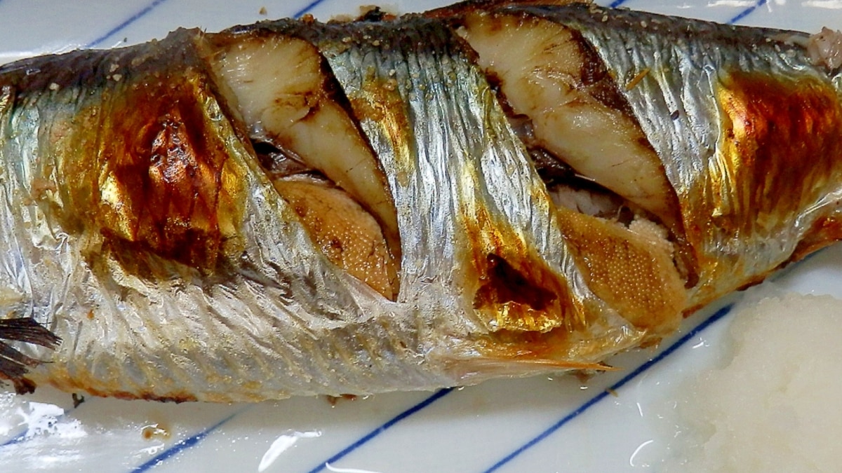 鰊生にしん 鰊 の塩焼き ふんわり柔らか レシピ 作り方 By 夏はぜ 楽天レシピ 鰊生にしん 鰊 の塩焼き ふんわり柔らか レシピ 作り方 By 夏はぜ 楽天レシピ