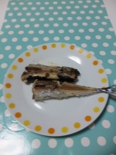 皮がはがれてしまいました(＞_＜)
魚焼きグリルを使いたくないので便利で助かります。