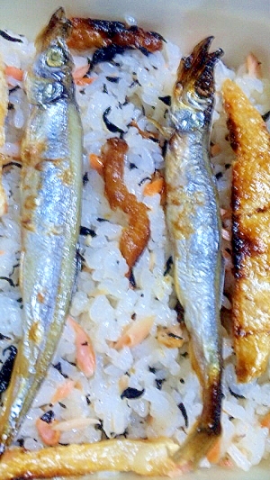 鮭ハラスと子持ちししゃもの焼き魚弁当