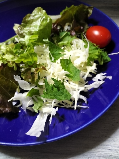 グリーンリーフ紫蘇キャベツのサラダ