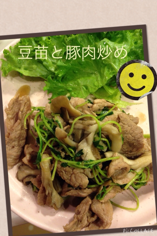 豆苗と豚肉炒め