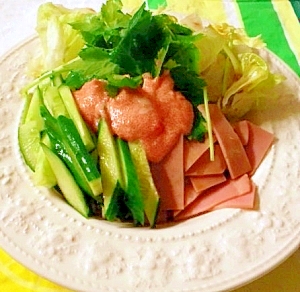 野菜たっぷり！明太子ソースで食べるサラダそうめん。
