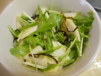 水菜とりんごの塩昆布サラダ